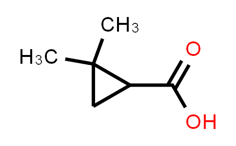 2,2-dimethyl-1-cyclopropanecarboxylic acid
