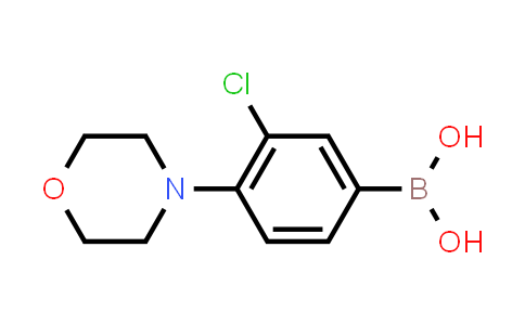 3-Chloro-4-morpholinophenylboronic Acid