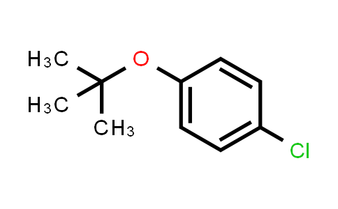 1-tert-Butoxy-4-chlorobenzene