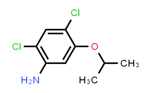 2,4-dichloro-5-propan-2-yloxyaniline