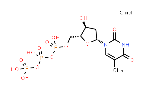 Deoxythymidine triphosphate