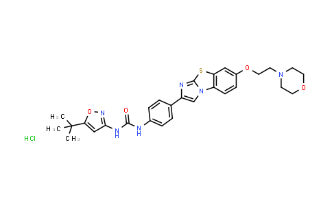 N-[5-(1,1-Dimethylethyl)-3-isoxazolyl]-N'-[4-[7-[2-(4-morpholinyl)ethoxy]imidazo[2,1-b]benzothiazol-2-yl]phenyl]urea hydrochloride