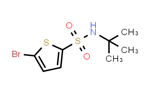 5-Bromo-N-tert-butyl-2-thiophenesulfonamide