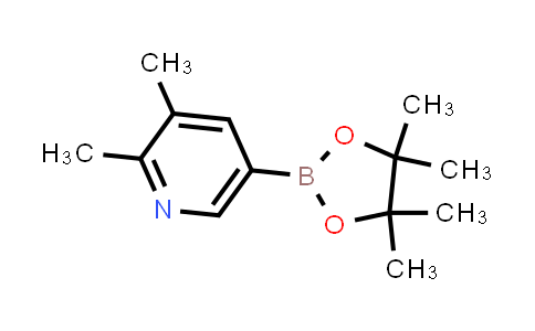 2,3-Dimethylpyridine-5-boronic acid pinacol ester