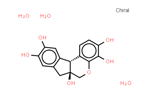 Hematoxylin