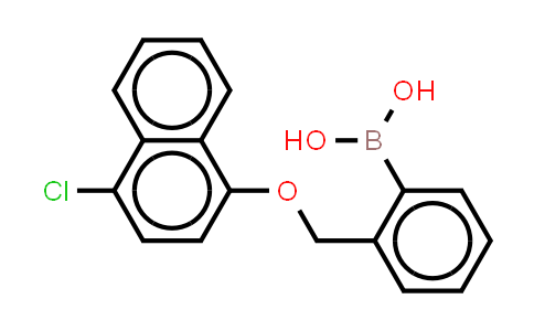 2-[(4'-Chloro-1-naphthyloxy)methyl]phenylboronic acid