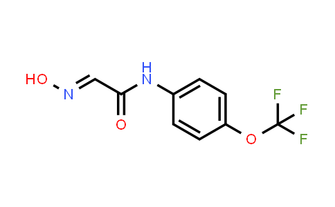 2-Hydroxyimino-N-[4-(trifluoromethoxy)phenyl]acetamide