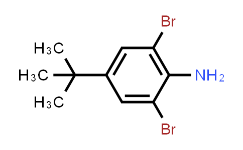 2,6-Dibromo-4-(tert-butyl)aniline
