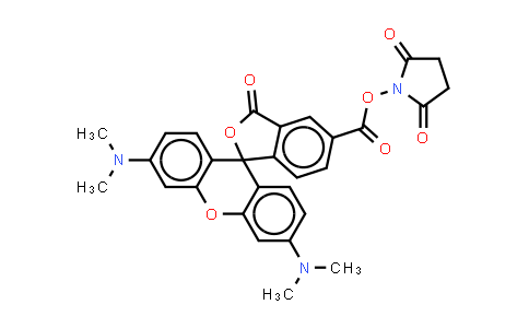 5(6)-Carboxytetramethylrhodamine succinimidyl ester