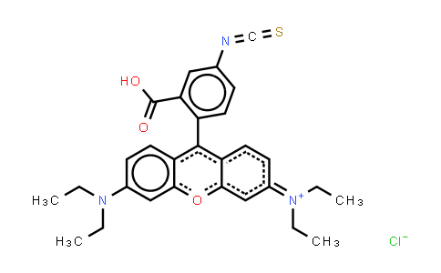 Rhodamine B isothiocyanate