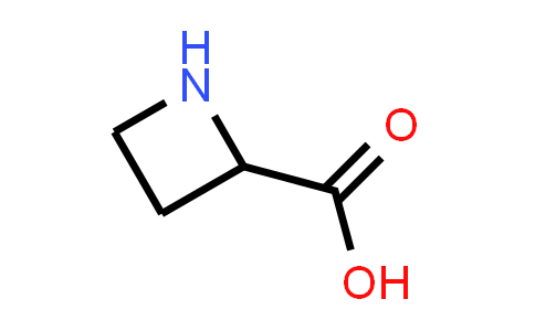 Azetidine-2-Carboxylic Acid